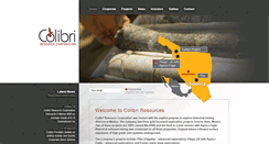 Desktop Screenshot of colibriresource.com